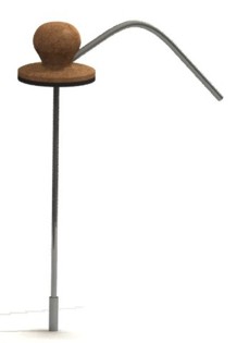 ���������� ���������� ���� ��� ���������� ������� ����� �� ������� ������.